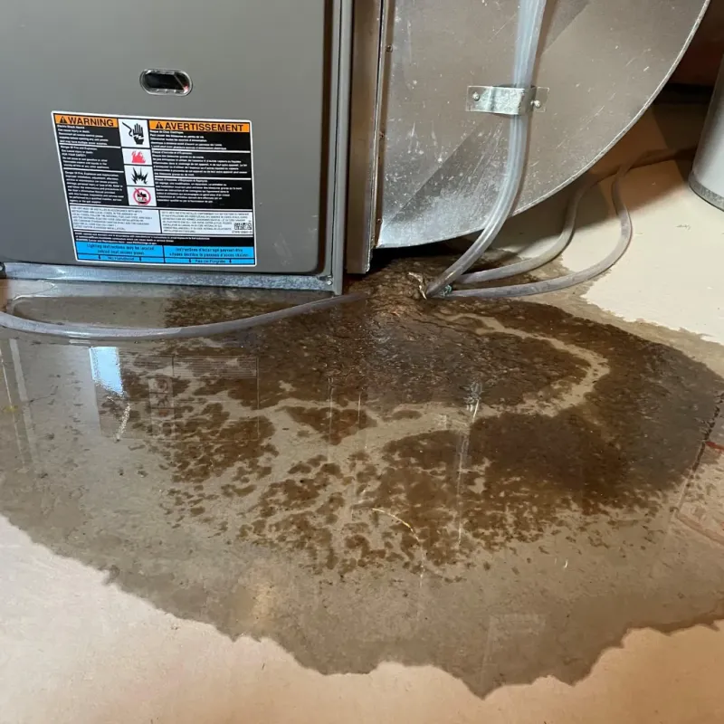 Appliance Leak Cleanup in Janesville, WI